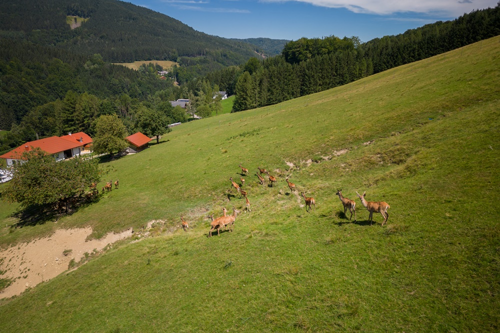Bio-Hof Ohler